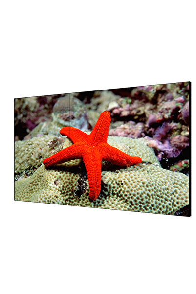 Hikvision LED MONITOR 46 3.5MM LCD DISPLAY UNIT "DS-D2046LU-Y" (timbru verde ...
