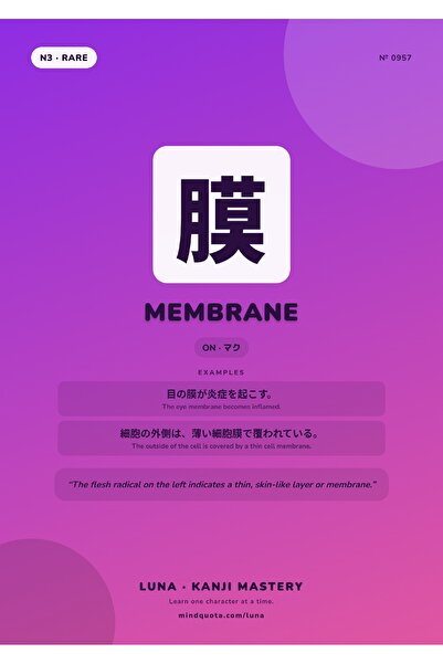 OEM Poster Kanji Membrana, Design Caligrafie Japoneza, Decor Perete Elegant, ...
