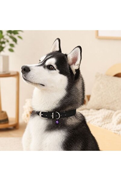 idei Small size animal neck accessory, 1 cm collar with dot decoration and co...