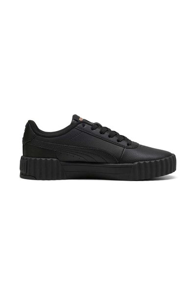 Puma Carina 3.0 tdp