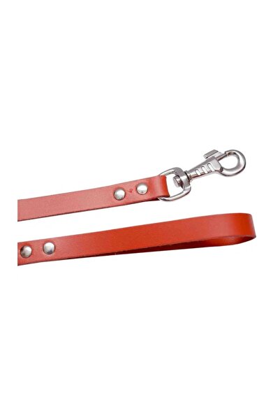 Exo Lesă L1-L4, Piele, Roșu, Mărime L3: 110 cm/15 mm
