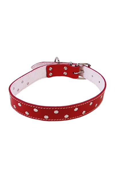 Exo Zgardă cu ornament cu buline L0-L6, Fetru, Piele, Roșu, Mărimea L4: 62/3 cm