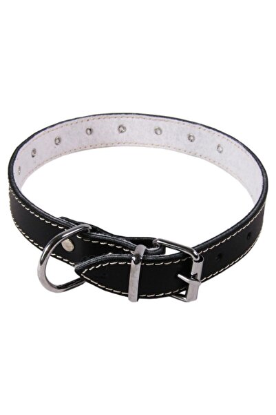 Exo Zgardă cu ornament cu buline L0-L6, Fetru, Piele, Negru, Mărime L3: 53/2....
