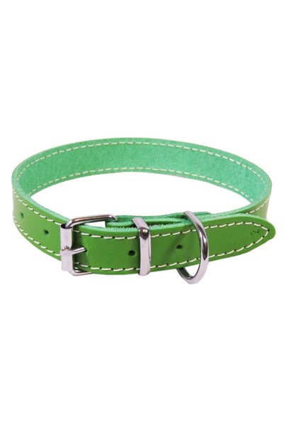 Exo Zgardă L0-L6, Simplă, din Piele, Verde, Mărimea L2: 45/2 cm