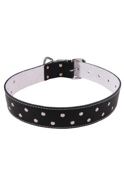 Exo Zgardă cu ornament cu buline L0-L6, Fetru, Piele, Negru, Mărimea L6: 74/4 cm