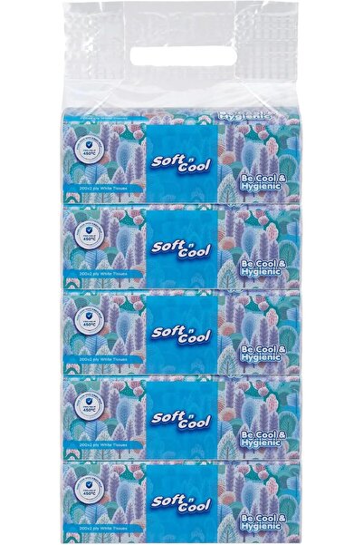Soft N Cool Facial Tissue Nylon Pack 200 Sheets 2Ply, 5 Boxes