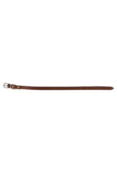 Exo Zgardă L0-L6, Simplă, din Piele, Maro, Mărimea L0: 37/1.2 cm