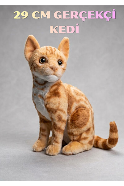 Boratila Toys 29 Cm Gerçekçi Peluş Oyuncak Kedi