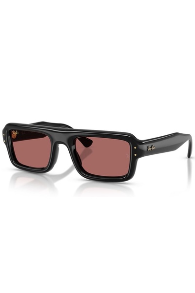 Ray-Ban RB4954 601 69 52 Unisex Güneş Gözlüğü