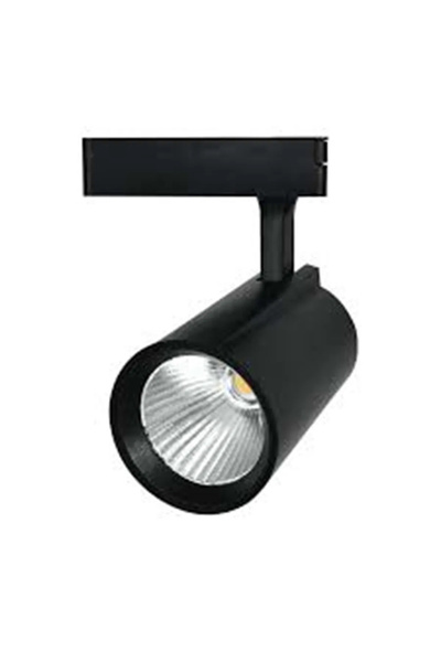 Danex Φωτιστικό Ράγας LED 30W 6500K 2700lm, Μαύρο, Kendal, Μαύρο