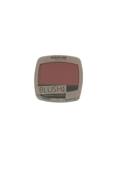 Generic Brand Blusher Single Piece for Cheeks Tone 08