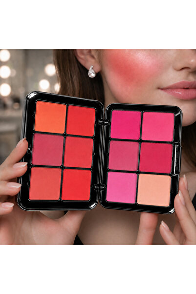 ROYNZA Multi-Colored Blush Palette, an Elegant Assortment Featuring 12 Shades...