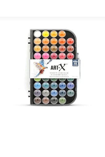 Rich Art-X Premium 48'li Sulu Boya Seti + No:1 Zemin Fırçalı Karma Fırça Seti (2 parça )