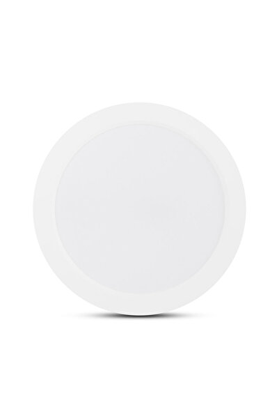 Danex Mini Panou LED Rotund Alb Pt 20W 6400k Ip44 -, Homelight, Alb