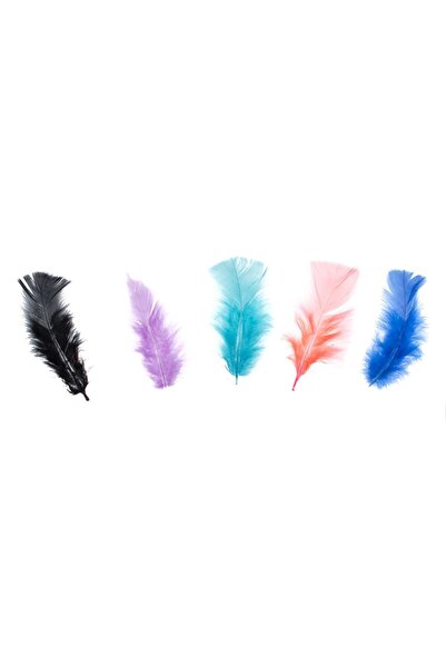OEM 60 Pene Colorate pentru Artizanat și Decor - 60 bucăți