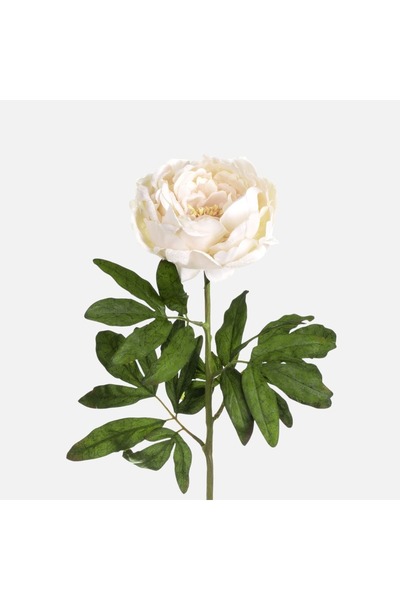 OEM Floare artificială de bujor crem cu tulpină lungă - 70cm
