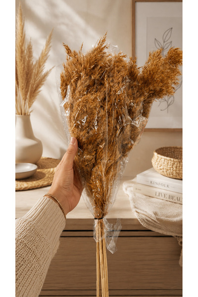 TROYA İthal Turuncu Pampas 7’li Set – 50 cm Dekoratif Kuru Çiçek | Ev & Ofis ...