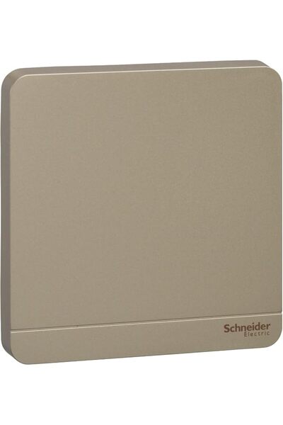 Schneider Electric لوحة فارغة من AvatarOn ذات فتحة واحدة، بلون ذهبي نبيذي