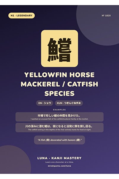 OEM Poster Infografic Kanji pentru Specia de Pește Somn și Stavrid Galben, Ca...