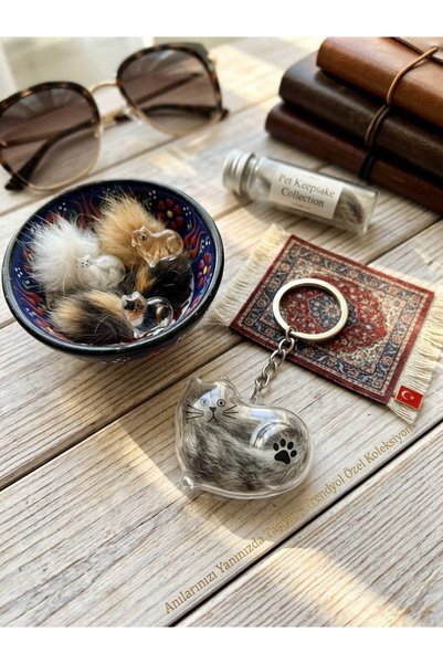 Scottish Fold Tüy Saklama Kapsülü