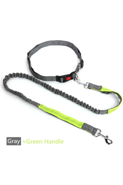 Choice 04 Retractable Dog Leash with Adjustable Waist Rope Hand Free Running ...
