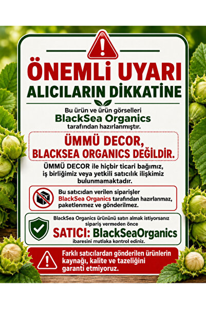 BlackSeaOrganics Rize Fındığı Yeni Mahsul Yeşil Kabuklu Yaş Fındık 1 Kg – Dal...
