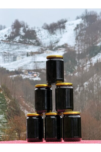 AŞIKLAR VADİSİ BAL Erzurum İspir Dut Pekmezi 1 kg
