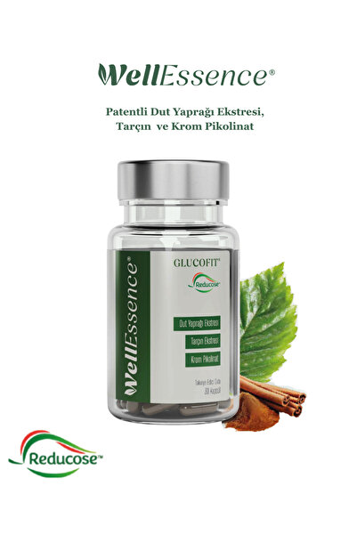 WellEssence Glucofit - Dut Yaprağı Ekstresi (Reducose®), Tarçın Ekstresi ve K...