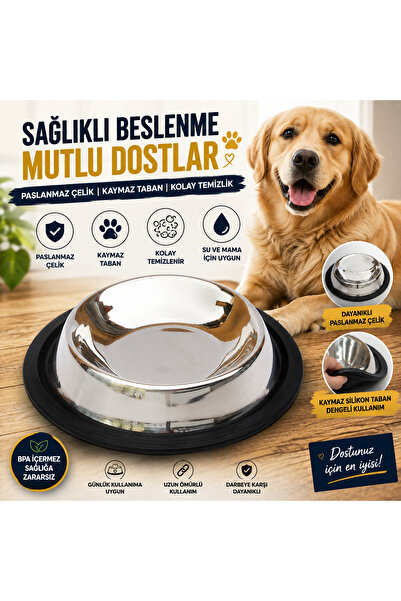 Zampa Paslanmaz Çelik Kaydırmaz Tabanlı Kedi Köpek Mama ve Su Kabı 32 Oz, 950...
