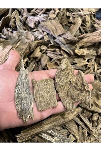 MSK Super Improved Chinese Cinnamod Oud -30G