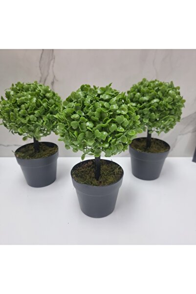 Çiçekmisin 3'lü Set Mini Siyah Plastik Saksıda Yapay Yonca Ağacı