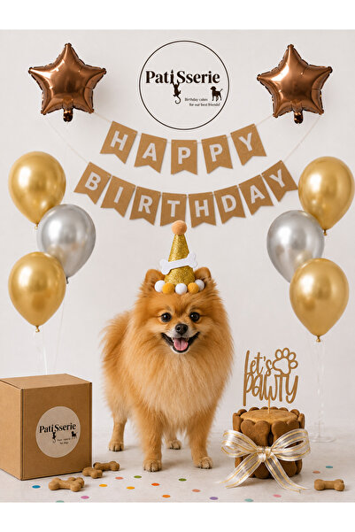 Köpekler Için Xl Parti Paketi-doğum Günü Pastası/ Gold&gümüş
