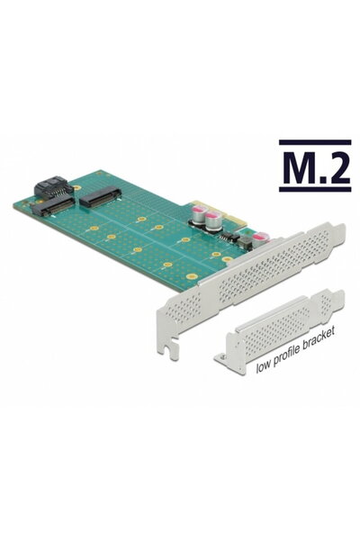 DELOCK PCI Express cu 1 x M.2 Key B + 1 x NVMe M.2 Key M LPFF, 89047