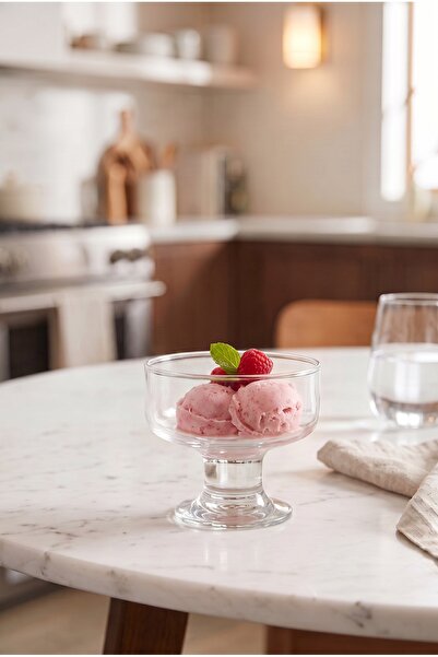 Paşabahçe Gourmet Ice Cream Container