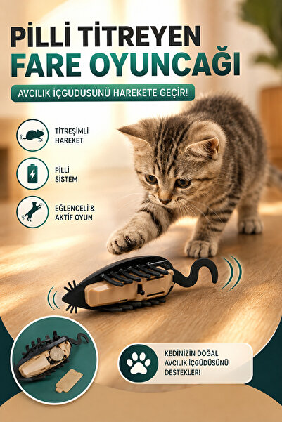 House Bird Pilli Titreyen Fare Kedi Oyuncağı İnteraktif Hareketli Avcılık ve ...