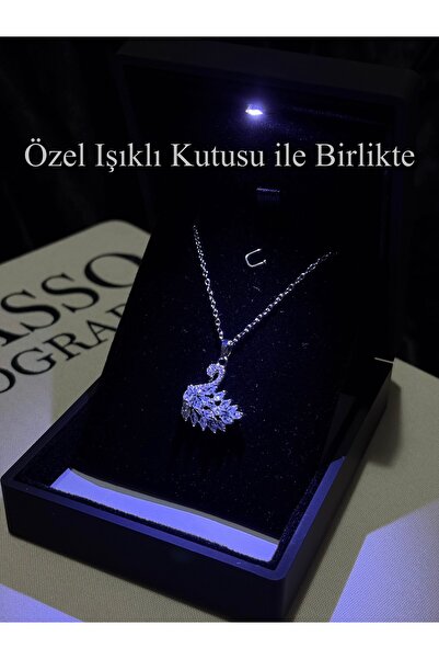 olvera shine Işıklı Kutulu Silver Kuğulu Swan Kolye