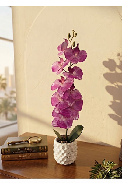 co arma Artificial Orchid Flower with Glass Vase Beautiful and Exquisite Shap...