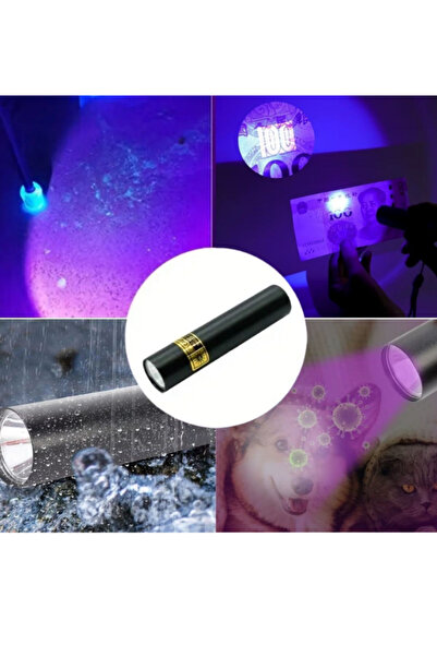 mucit home Mor Işık El Feneri Mini Cep Boy Oje Kurutucu Gerçek Para Kontol LE...