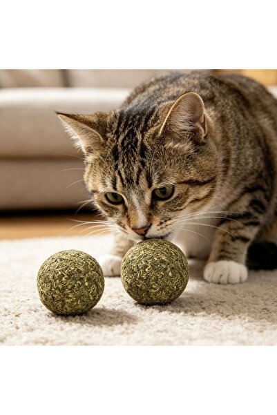 idei Natural mint balls for pets, set of 2 pieces, size D2.8 cm, helps clean ...