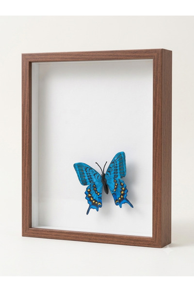 Gülüm baskı Ahşap Derinlikli Çerçeve 3D Gölge Kutusu (Shadow Box) Obje Ve Beb...