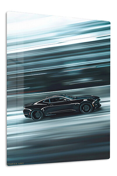 Emesa Art Black Performance Coupe Speed Metal Wall Art