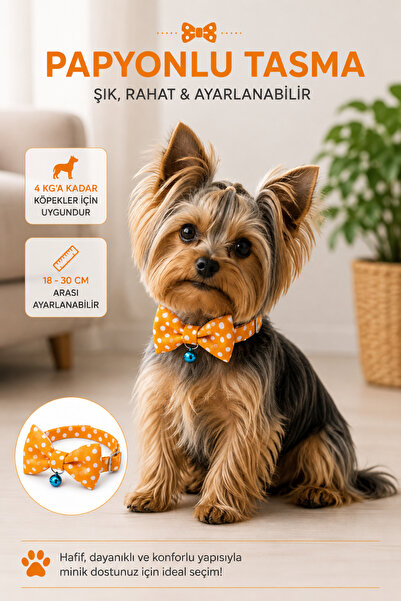 Cocopet Papyonlu Köpek Boyun Tasması Gökkuşağı Desenli 4 kg a kadar Küçük ırk...