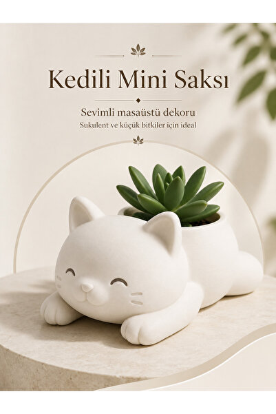 ceatly Sevimli Kedili Mini Saksı – Sukulent ve Küçük Bitkiler İçin Dekoratif ...