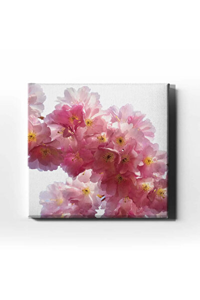 enmalife Tablou decorativ de perete din pânză Sakura