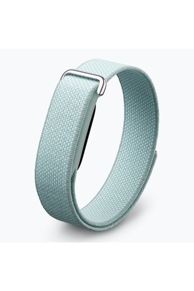 Fitbit Google Air Loop Kayış