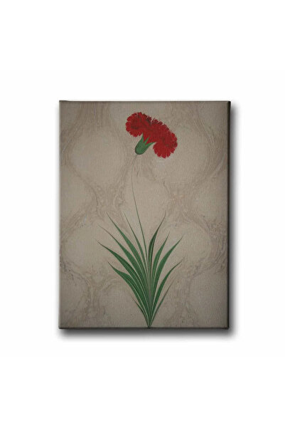 enmalife Ebru Carnation Artistic Canvas Wall Painting