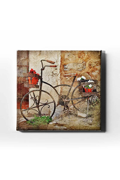 enmalife Bicycle Decorative Canvas Wall Painting
