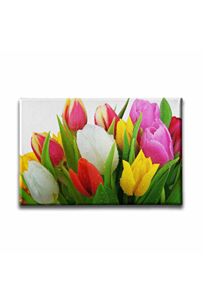 enmalife Pictură decorativă pe pânză cu lalele colorate