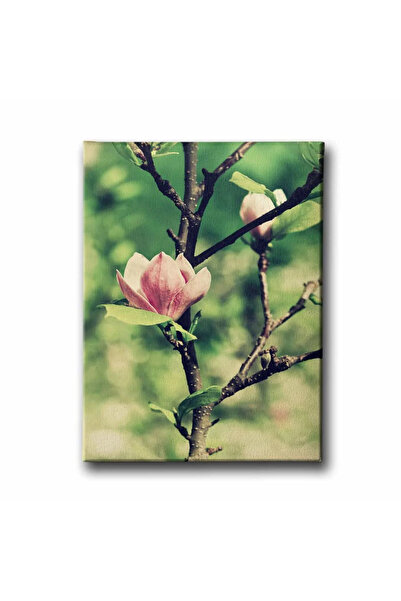 enmalife Magnolia Decorative Canvas Wall Painting
