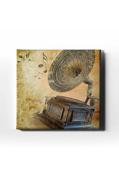 enmalife Gramophone Decorative Canvas Wall Painting